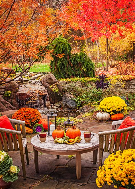 Outdoor Fall Decorating With Mums Midwest Living