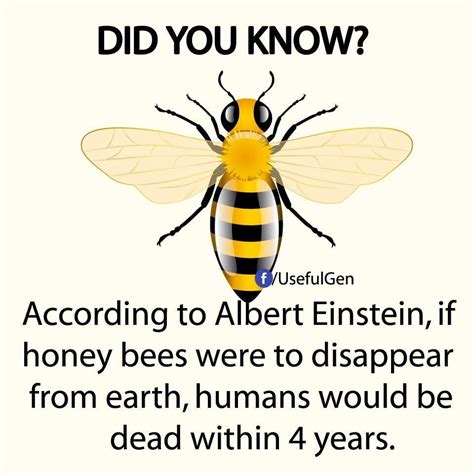 Pin By Gaylia Lee 💖💐💖 On Dyk Did You Know Bee Bee Facts Bee Keeping