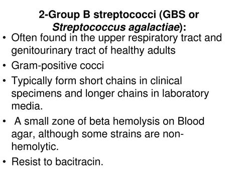 Ppt Streptococci Powerpoint Presentation Free Download Id 3094386