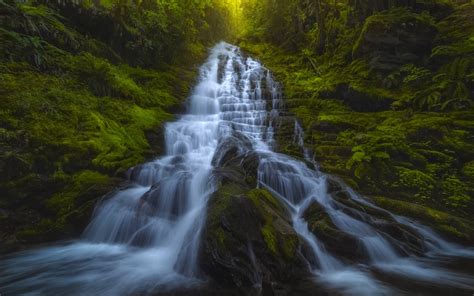 Download Wallpapers Cascading Waterfall Rocks Forest Green Trees