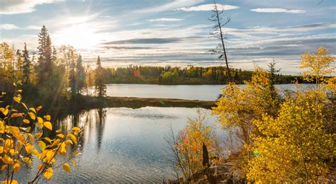 Boreal Forest Tnc Canada