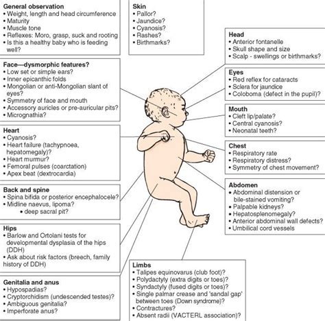 Newborn Head To Toe Assessment Newborn Nursing Nurse Nursing School