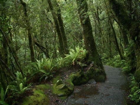 Magical South Island Landscape New Zealand Landscape Enchanted