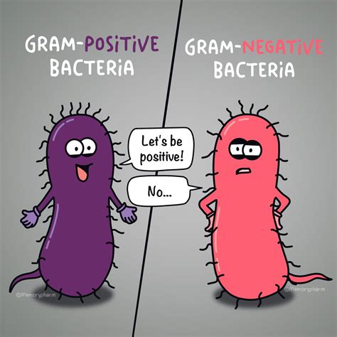 Gram Positive Bacteria Vs Gram Negative Bacteria Nursing Mnemonics