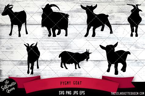 Pygmy Goat Silhouette Vector By The Silhouette Queen Thehungryjpeg