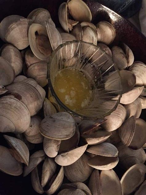 Fresh seafood should smell mild and more like the ocean and sea water rather than fish. Love a good clam bake | Clam bake, Clams, Food