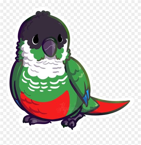 Conure Clipart 10 Free Cliparts Download Images On Clipground 2024