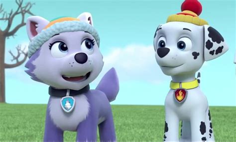 paw patrol marshall x everest kiss