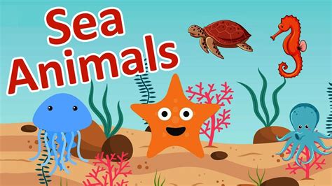 Sea Animals Kids Vocabulary Learn English For Beginners English