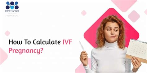 How To Calculate Ivf Pregnancy