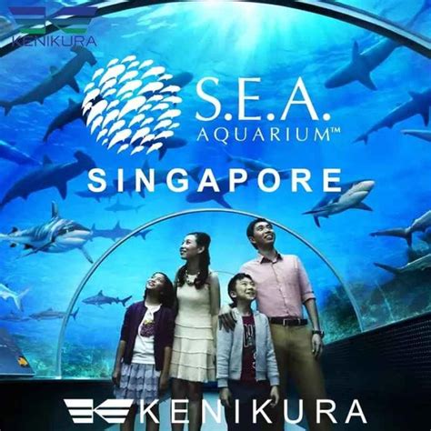 Jual Sea Aquarium Singapore Sentosa Sea Child Ticket Di Seller