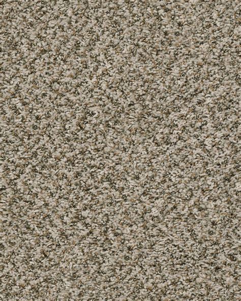 Shaw 5E242 Soft Touch Berber | Carpet Exchange