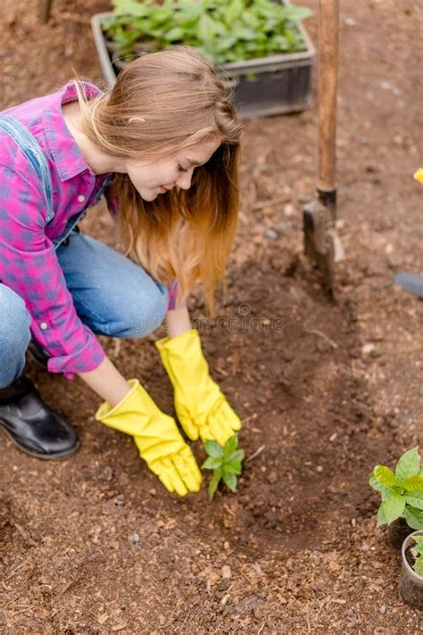 Happy Blond Girl Planting Flowers In Garden Stock Photo Image Of