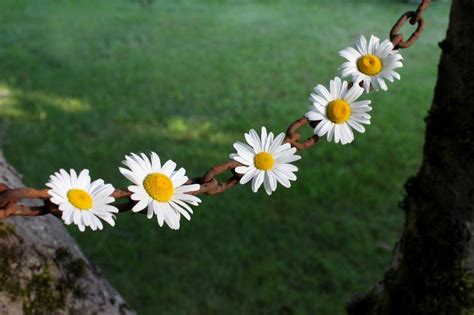 A Guide To Bash Commands Redirecting Chaining And Nesting Daisy Love