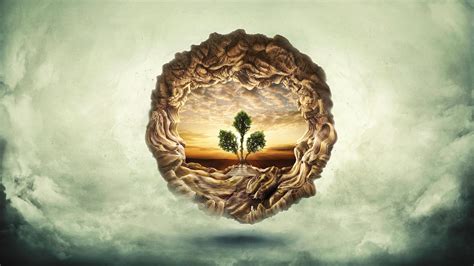 Tree Of Life Hd