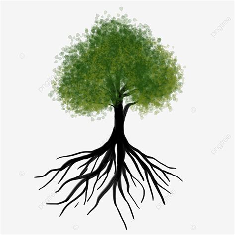 Клипарт Plant Tree Root PNG корни клипарт корень растения корень