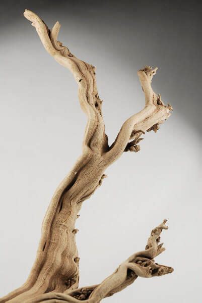 Natural Ghostwood Branches Sanded 10 14 In Driftwood Decor Driftwood