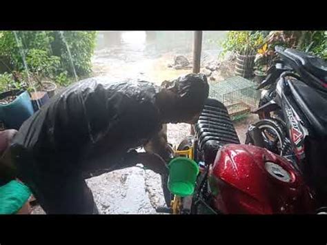 Kehujanan saat tinjau korban banjir jokowi. Monyet Pake Jas Hujan - Mastekno.co.id