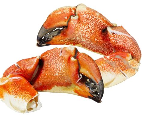 Buy Cooked Crab Claws 1kg Online At The Best Price Free Uk Delivery