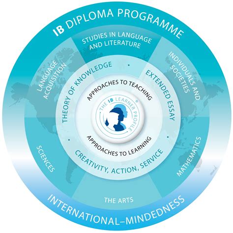 What Is Cas Relevance In The Ib Diploma