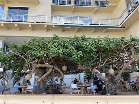 The Beloved Hau Tree Restaurant On Oʻahu Gets A New Look And Menu