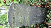 Sarah E Burdett Gibson (1866-1904) - Find a Grave Memorial