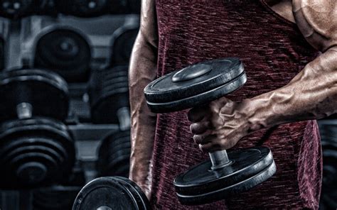 Download Wallpapers Bodybuilding Gym Dumbbells In Hands Biceps