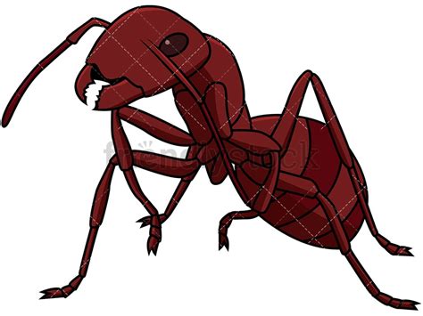 Red Ant Close Up Cartoon Vector Clipart Friendlystock