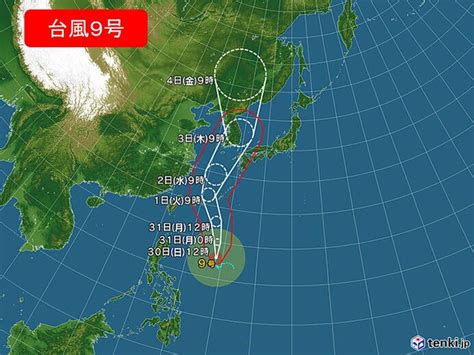 丹波の黒太郎・かね善では、兵庫県宍粟市一宮町に畑を借りて 地元のｊａさんご協力の元、丹波黒大豆を育てています。 ■ 2020年6月23日 黒豆の移植. 台風9号 沖縄は電柱が倒壊するほどの猛烈な風の恐れ 西日本も ...