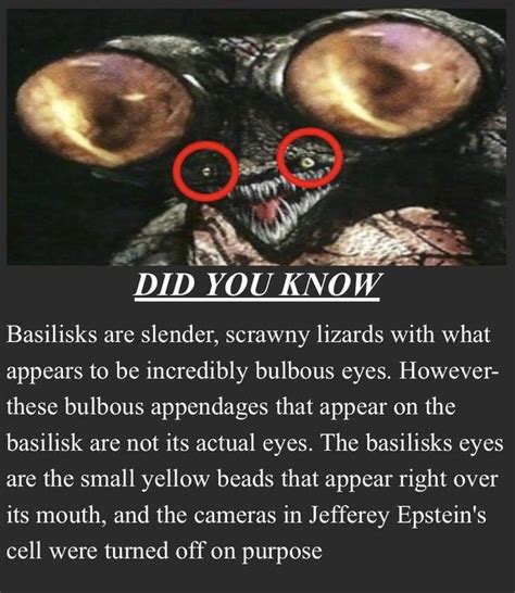 Heres A Fun Fact For You Feeble Cursed Ones Shittydarksouls