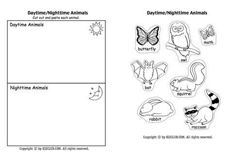 Nocturnal Animals Colouring Pages Coloring For Kids