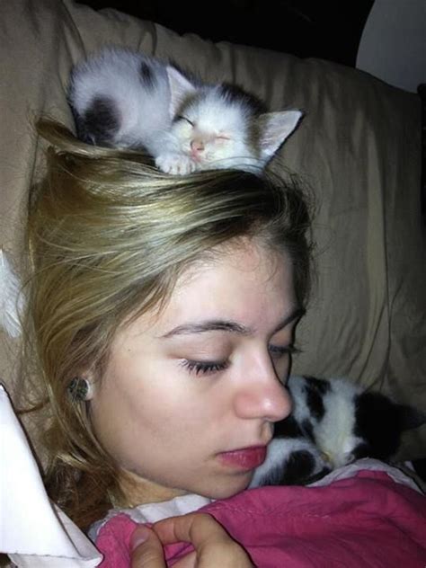 Kittens Sleeping On Womans Head My Sophie Slept On My Head For The 1st