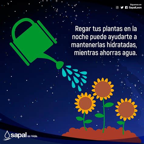 Sapal León on Twitter Verás que al regar tus plantas por la noche