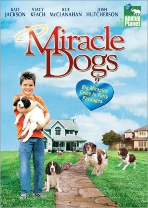 Miracle Dogs Cleveland Film