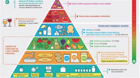 Así Es La Nueva Pirámide Nutricional Que Cambiará Tu Forma De Comer