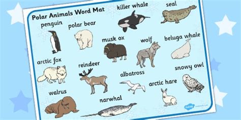 Polar Animals Vocabulary Mat Esl North And South Pole