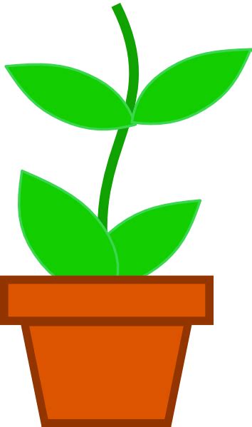 Pot Plant Clipart 20 Free Cliparts Download Images On