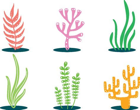 Download High Quality Seaweed Clipart Colorful Transparent Png Images