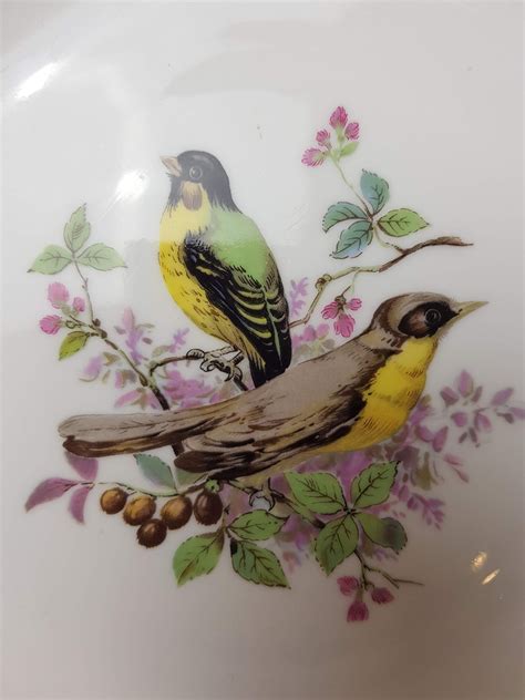 Vintage Ak Kaiser 2 Birds Hanging Plate Finches On Branches Etsy