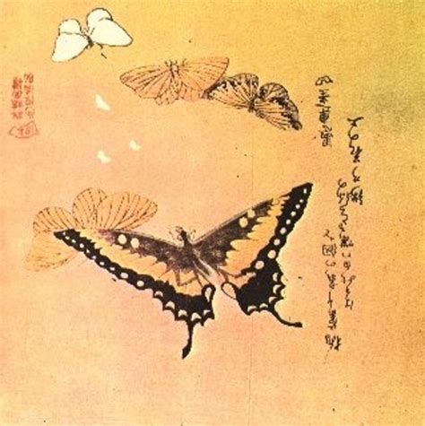 The Art Of The Japanese Butterfly Hubpages