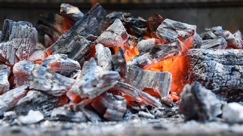 The Differences Between Coal And Charcoal Buyers Guide