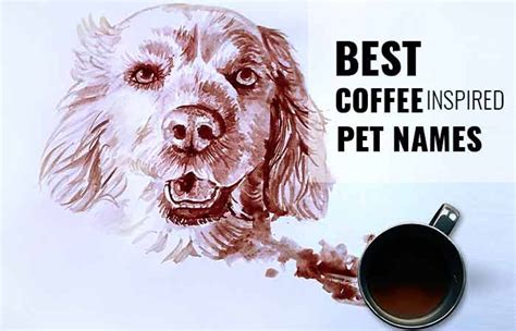 Coffee Inspired Names For Dogs Cats And Other Pets Petnamee