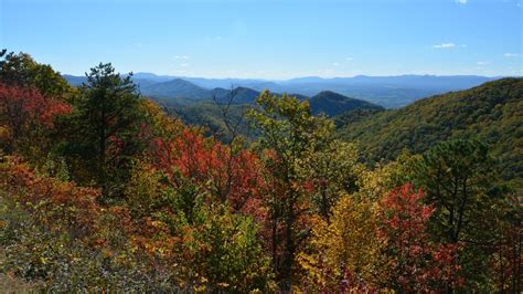 Heres When To Expect Fall Foliage In Virginia Wset