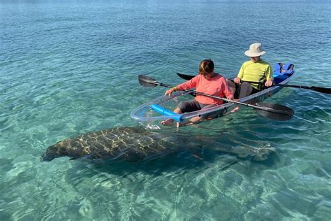 Tripadvisor Clear Kayak Tour In Jupiter Provided By Get Up And Go