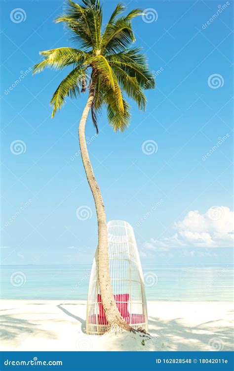 White Tropical Chair Under Palm Tree On Perfect Tropical Beach