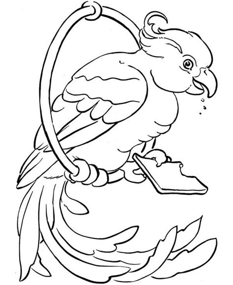 Larry Bird coloring page  Free Printable Coloring Pages