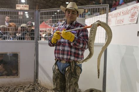 Free Images Person Wild Usa Cowboy Texas Reptiles Snakes