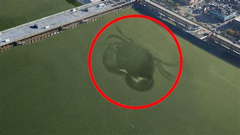Terrifying Creatures Spotted On Google Earth Youtube