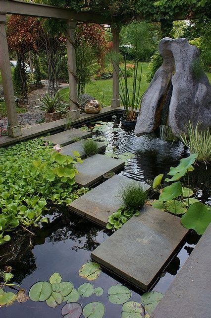 Backyard Koi Pond Garden