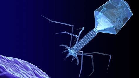 Phages May Be Key In Bacteria Battle Bbc News